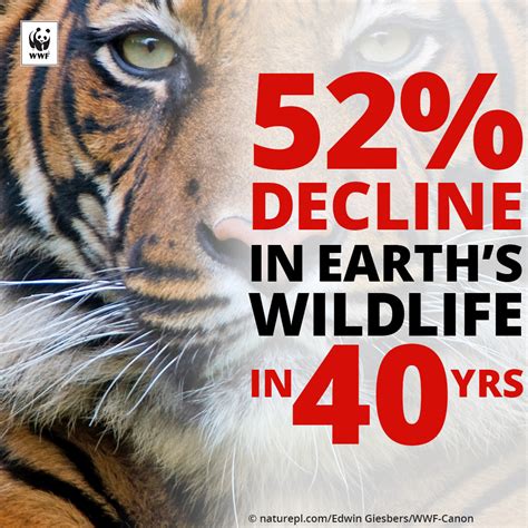 wwf cancel donation|cancel world wildlife monthly donation.
